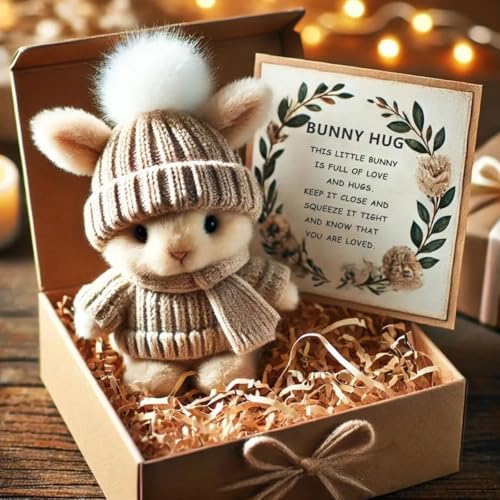 LAUFUY Mini Bunny Hug Ostergeschenk Handgemachte Häkeltasche Bunny Puppe Emotionale Unterstützung Plüsch Kaninchen in Box für Kinder, Familie & Freunde (Khaki) von LAUFUY