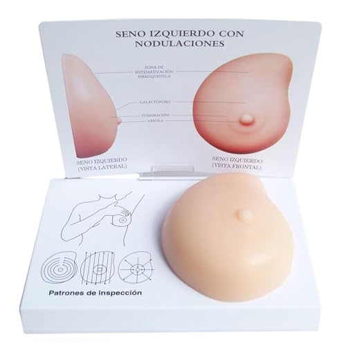 Selbstuntersuchungsmodell der Brust, Modell der menschlichen Anatomie der Brust mit unregelmäßigen Massen, medizinisches Werkzeug oder Laktationstherapeuten Technik Praxismodell Selbstuntersuchungsmodell der Brust, Modell der menschlichen Anatomie der Brust mit unregelmäßigen Massen, medizinisches Werkzeug oder Laktationstherapeuten Technik Praxismodell von LAdrfT