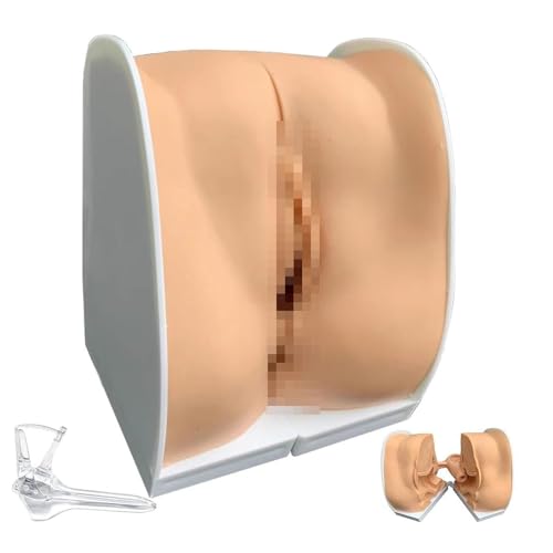 Weibliches Verhütungsmodell, gynäkologisches Genital -Leitmodell, medizinische Unterricht weibliche Geburtenkontrolle -Verhütungsmodell Weibliches Verhütungsmodell, gynäkologisches Genital -Leitmodell, medizinische Unterricht weibliche Geburtenkontrolle -Verhütungsmodell von LAdrfT