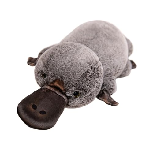 LCEDHZOC Niedliches Schnabeltier Kuscheltier, 45CM Plüschtier Molliges Schnabeltier Plüschtier Geschenk for Kinder Jungen Mädchen Heimdekoration(Gray) von LCEDHZOC
