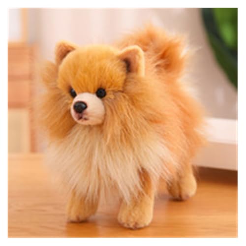 LCEDHZOC Simulation Eines Pommerschen Hunde Kuscheltiere, 26CM Süße Plüschs Weicher Pommerscher Hund Plüschtier Geschenk for Kinder Jungen Und Mädchen(BrownPomeranian) von LCEDHZOC
