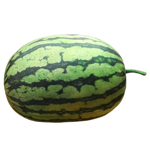 LCEDHZOC Simulation Wassermelonen Plüsch, Kreatives Stofftier Molliges Wassermelonen Plüsch Kissen Geschenk for Kinder Jungen Mädchen Heimdekoration(Long,37CM/14.5IN) von LCEDHZOC