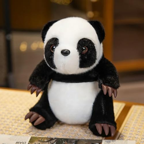 LCKDY Niedlicher ausgestopfter Panda Waschbär Koala Faultier Spielzeug Kawaii Tier Puppe Plüschtier Kinder 28cm 4 von LCKDY