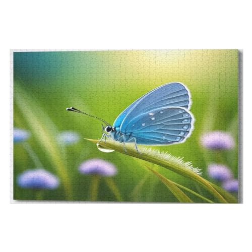 1000 Teile Puzzle Für Jungen Und Mädchen, Standard-Puzzles Schmetterling, Familienspiele, （75×50cm） von LCWWW