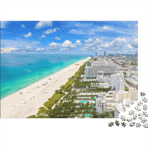 1000 Teile Florida-Puzzle für Erwachsene und Kinder, kreatives rechteckiges Puzzle, Holzpuzzle, lustiges Lernspielzeug, 1000 Teile (75 x 50 cm) von LCZLCZ