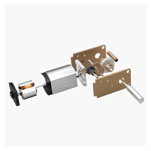 LDHNFBYV N20 Metallgetriebe-Getriebemotor DC3V 6V 12V 4rpm-380rpm Drehmoment Elektromotor(6V13RPM_Single Shaft) von LDHNFBYV