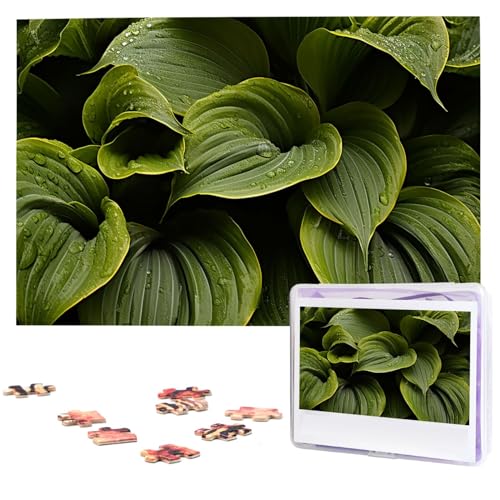 1000 Teile Holzpuzzles für Erwachsene, personalisierte feuchte Hosta-Blätter, Puzzle, interessante individuelle Fotopuzzles, Geschenk für Feiertage, Geburtstag, Hochzeit, Jahrestag 1000 Teile Holzpuzzles für Erwachsene, personalisierte feuchte Hosta-Blätter, Puzzle, interessante individuelle Fotopuzzles, Geschenk für Feiertage, Geburtstag, Hochzeit, Jahrestag von LDTVSFZQ