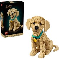 LEGO Icons 11384 Golden Retriever Welpe, Modellbau mit Hundefigur von LEGO® GmbH