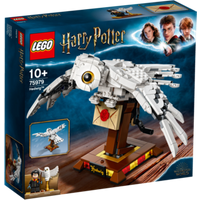 LEGO® Harry Potter™ 75979 Hedwig™ von LEGO® HARRY POTTER™