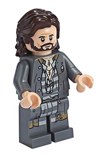 LEGO® - Minifigs - Harry Potter - hp174 - Sirius Black (75945) von LEGO