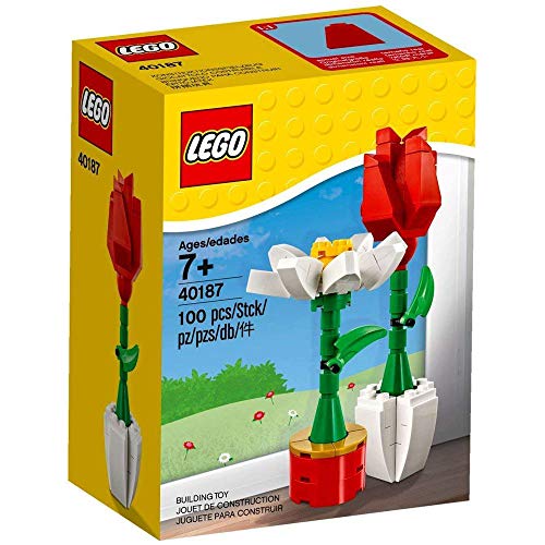 LEGO Flower Display (40187) 100 Piece Set von LEGO