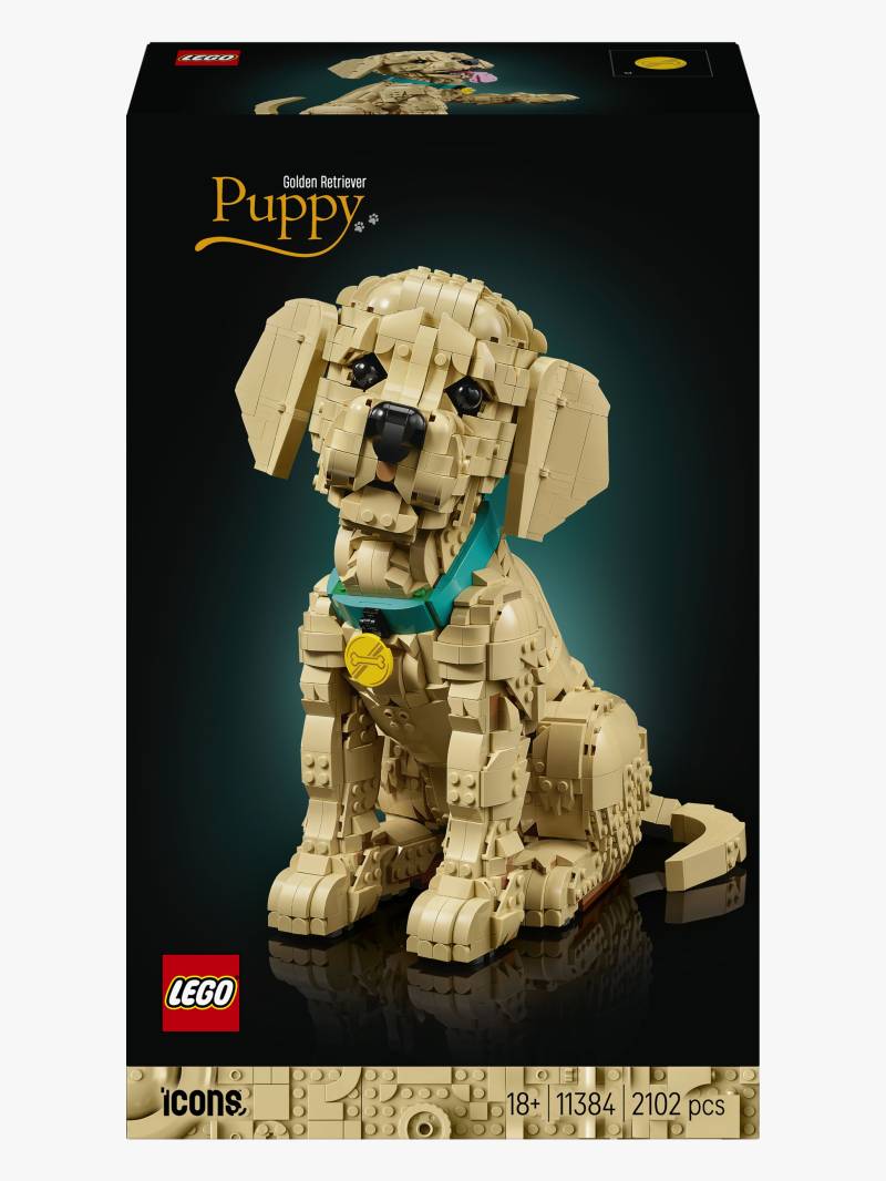 LEGO Icons 11384 Golden Retriever Welpe von LEGO