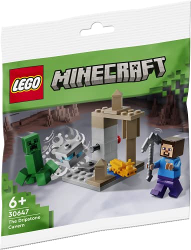 LEGO Minecraft Die Tropfsteinhöhle 30647 von LEGO