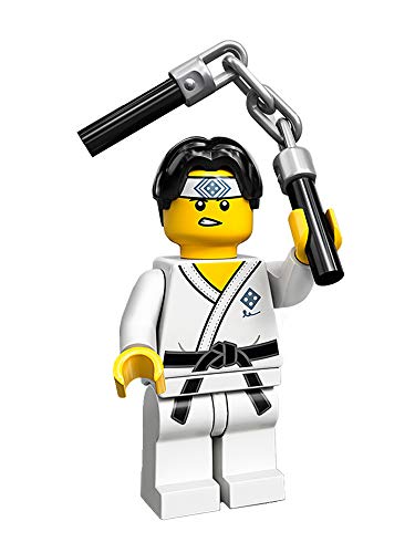 LEGO Minifigures Collectible Serie 20 (71027) - Martial Arts Boy von LEGO