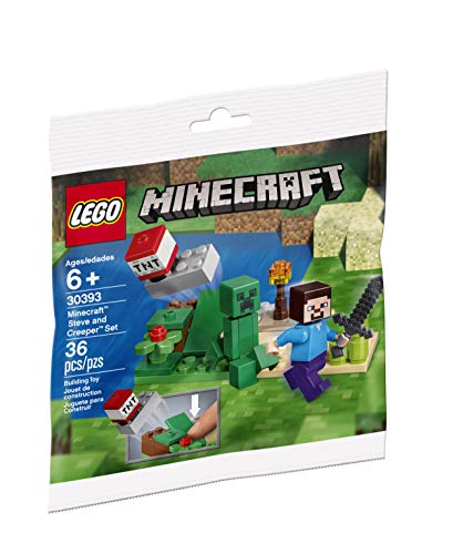 Lego Minecraft Steve und Creeper Polybag Set 30393 (Eingesackt) Spielzeug von Unbekannt