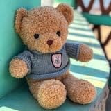 LEIGHT Weicher Plüschbär mit Pullover – 30 cm Kuscheltier für Kinder & Erwachsene, perfektes Geschenk & elegante Dekoration (grau) von LEIGHT