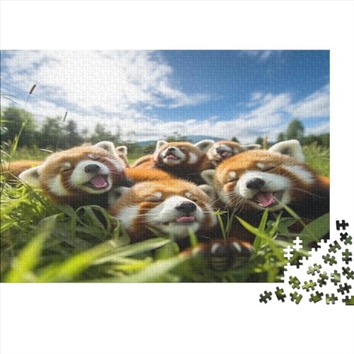 Red Pandas Hölzernes Jigsaw Puzzles Für Erwachsene 1000 Teile Raccoon Stressabbau Tolles Geschenk Heimdekoration Puzzle 1000pcs (75x50cm) von LENTLY