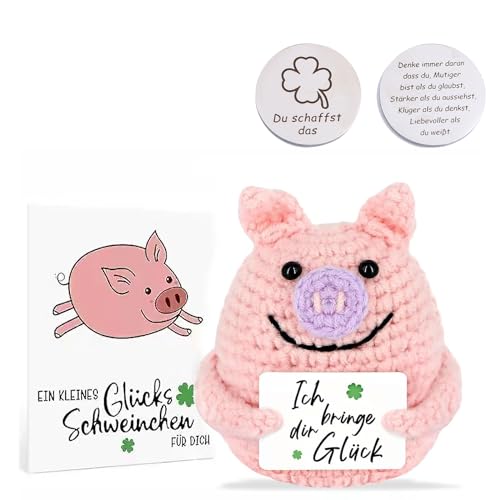 LEOEASIY Positive Geschenke Schwein,Pocket Hug Glücksschweinchen,Gute Besserung Geschenke,Glücksbringer Prüfung,Kreative Strickwolle Minischwein Puppe und Kleine Umarmung Glücksbringer (Silber) von LEOEASIY