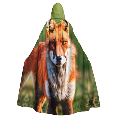 Fox Erwachsenen-Halloween-Party-Umhang, stilvolles Kürbis-Thema, Zauberer-Robe, Cosplay-Kostüm, Schwarz Fox Erwachsenen-Halloween-Party-Umhang, stilvolles Kürbis-Thema, Zauberer-Robe, Cosplay-Kostüm, Schwarz von LEVNDIEJ