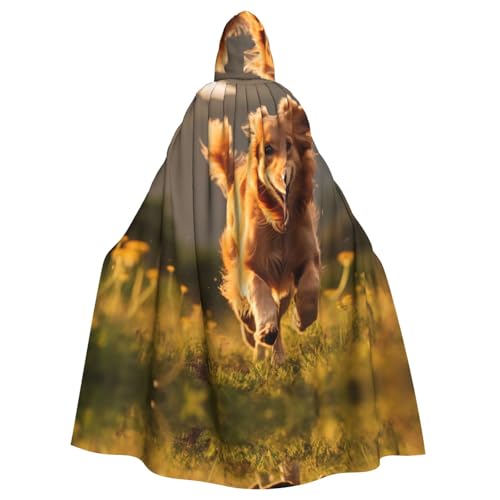 Halloween-Party-Umhang für Hunde und Erwachsene, stilvolles Kürbis-Thema, mit Kapuze, Zauberer-Robe, Cosplay-Kostüm, Schwarz von LEVNDIEJ