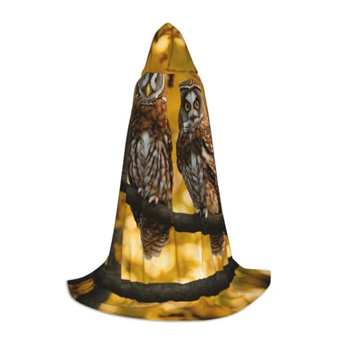 Kapuzenumhang mit süßem braunem Cartoon-Eulen-Druck, für Damen und Herren, Mittelalter-Kostüm, Umhang für Halloween, Maskerade, Cosplay, Schwarz, Large von LEVNDIEJ