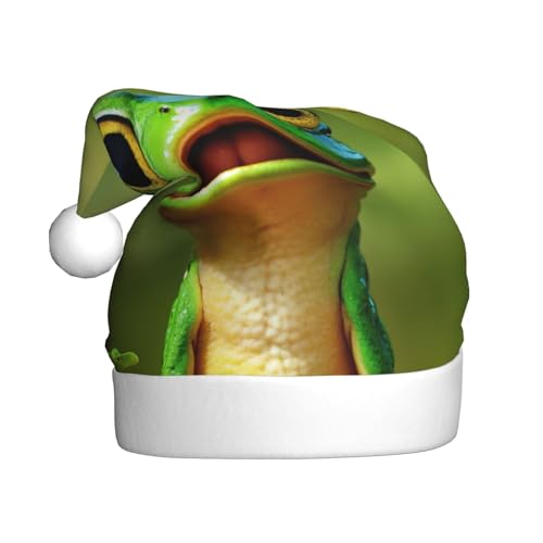 LEVNDIEJ Grüner Frosch, Weihnachtsmannmütze, Erwachsene, Weihnachtsmütze, Urlaub für Unisex, Weihnachtsmütze für Neujahrsparty von LEVNDIEJ