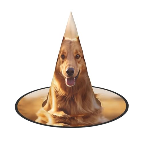 LEVNDIEJ Halloween-Hexenhut, Hexenkostüm, für Damen, Cosplay, Party, Zaubererhut, Zubehör für Frauen LEVNDIEJ Halloween-Hexenhut, Hexenkostüm, für Damen, Cosplay, Party, Zaubererhut, Zubehör für Frauen von LEVNDIEJ