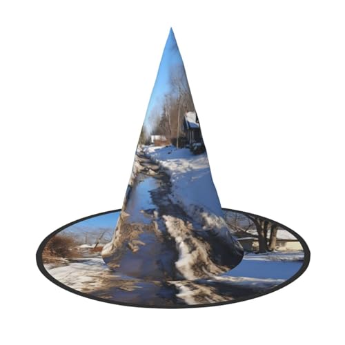 LEVNDIEJ Halloween-Hexenhut, Hexenkostüm für Damen, Cosplay, Party, Zaubererhut, Zubehör für Frauen LEVNDIEJ Halloween-Hexenhut, Hexenkostüm für Damen, Cosplay, Party, Zaubererhut, Zubehör für Frauen von LEVNDIEJ
