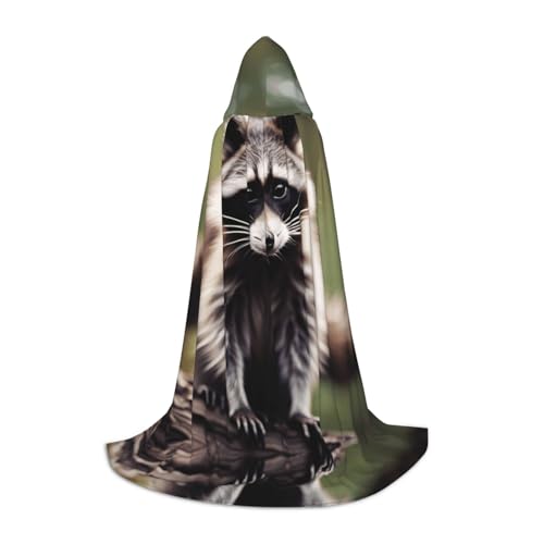 LEVNDIEJ Kapuzenumhang mit süßem Waschbär-Druck für Damen und Herren, Mittelalter-Kostüm, Umhang für Halloween, Maskerade, Cosplay, Schwarz, Small von LEVNDIEJ
