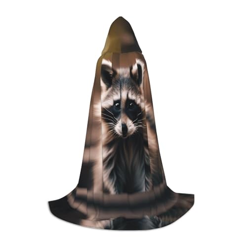 LEVNDIEJ Süßer Waschbär-Umhang mit Kapuze für Damen und Herren, Mittelalter-Kostüm, Umhang für Halloween, Maskerade, Cosplay, Schwarz, Large LEVNDIEJ Süßer Waschbär-Umhang mit Kapuze für Damen und Herren, Mittelalter-Kostüm, Umhang für Halloween, Maskerade, Cosplay, Schwarz, Large von LEVNDIEJ