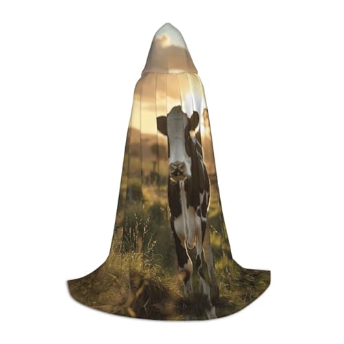 LEVNDIEJ Umhang mit Kapuze für Damen und Herren, mittelalterliches Kostüm, Umhang für Halloween, Maskerade, Cosplay, Schwarz, Medium LEVNDIEJ Umhang mit Kapuze für Damen und Herren, mittelalterliches Kostüm, Umhang für Halloween, Maskerade, Cosplay, Schwarz, Medium von LEVNDIEJ