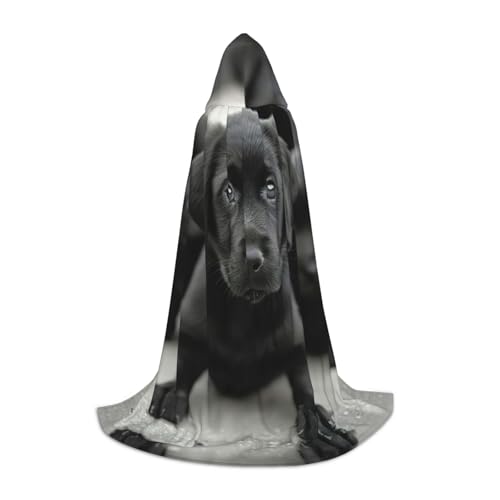 LEVNDIEJ Umhang mit Kapuze für Damen und Herren, mittelalterliches Kostüm, Umhang für Halloween, Maskerade, Cosplay, Schwarz, Small LEVNDIEJ Umhang mit Kapuze für Damen und Herren, mittelalterliches Kostüm, Umhang für Halloween, Maskerade, Cosplay, Schwarz, Small von LEVNDIEJ