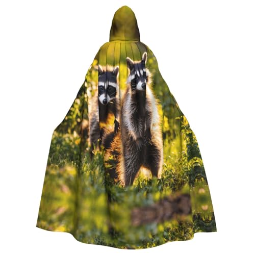 LEVNDIEJ Umhang mit süßem Waschbär-Druck, für Halloween, Kapuzenumhang für Männer und Frauen, Cosplay, Mittelalter-Robe, Maskerade-Kostüm, Schwarz LEVNDIEJ Umhang mit süßem Waschbär-Druck, für Halloween, Kapuzenumhang für Männer und Frauen, Cosplay, Mittelalter-Robe, Maskerade-Kostüm, Schwarz von LEVNDIEJ