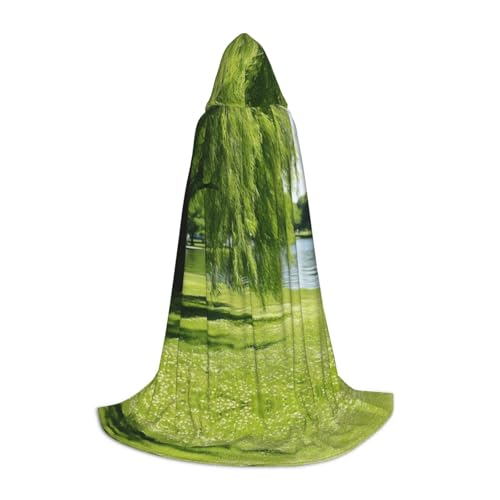 LEVNDIEJ Willow Tree Kapuzenumhang für Damen und Herren, Mittelalter-Kostüm, Umhang für Halloween, Maskerade, Cosplay, Schwarz, Small LEVNDIEJ Willow Tree Kapuzenumhang für Damen und Herren, Mittelalter-Kostüm, Umhang für Halloween, Maskerade, Cosplay, Schwarz, Small von LEVNDIEJ