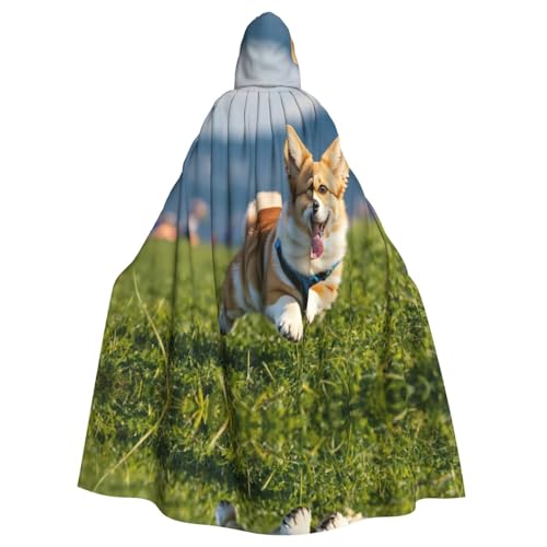 Niedlicher Corgi Halloween-Party-Umhang für Erwachsene, stilvolles Kürbis-Thema, Zauberer-Robe, Cosplay-Kostüm, Schwarz Niedlicher Corgi Halloween-Party-Umhang für Erwachsene, stilvolles Kürbis-Thema, Zauberer-Robe, Cosplay-Kostüm, Schwarz von LEVNDIEJ