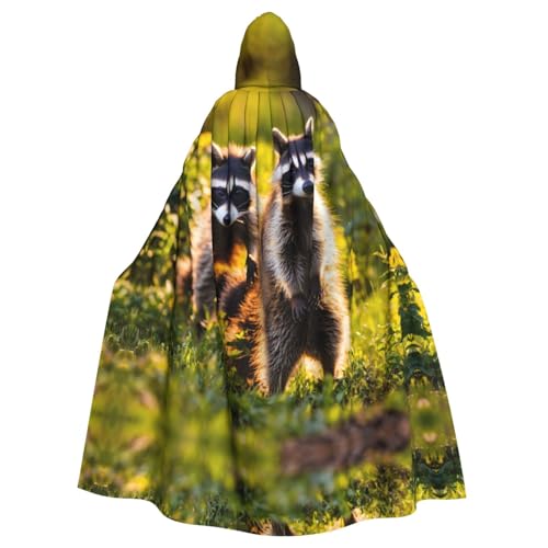 Süßer Waschbär für Erwachsene, Halloween-Party, Umhang, stilvolles Kürbis-Thema, Zauberer-Robe, Cosplay-Kostüm, Schwarz Süßer Waschbär für Erwachsene, Halloween-Party, Umhang, stilvolles Kürbis-Thema, Zauberer-Robe, Cosplay-Kostüm, Schwarz von LEVNDIEJ