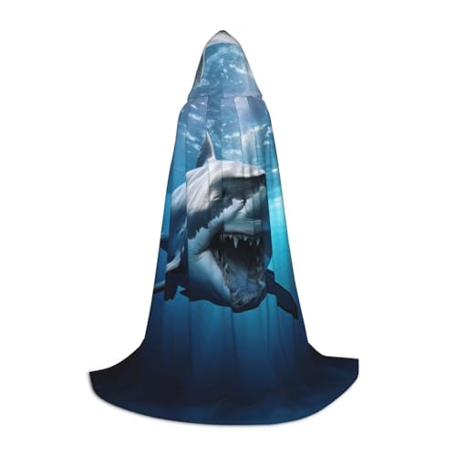 Umhang mit Kapuze für Damen und Herren, Mittelalter-Kostüm, Umhang für Halloween, Maskerade, Cosplay, Schwarz, Large von LEVNDIEJ