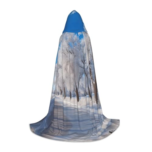 Umhang mit Kapuze für Damen und Herren, Motiv: Schnee im Park, Mittelalter-Kostüm, Umhang für Halloween, Maskerade, Cosplay, Schwarz, Large von LEVNDIEJ