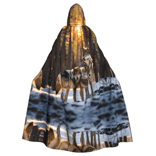Umhang mit Wolfs-Aufdruck, für Halloween, Kapuzenumhang für Männer und Frauen, Cosplay, Mittelalterliche Robe, Maskerade, Kostüm, Schwarz Umhang mit Wolfs-Aufdruck, für Halloween, Kapuzenumhang für Männer und Frauen, Cosplay, Mittelalterliche Robe, Maskerade, Kostüm, Schwarz von LEVNDIEJ