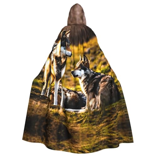 Wolfs Halloween-Party-Umhang für Erwachsene, stilvolles Kürbis-Thema, mit Kapuze, Zauberer-Robe, Cosplay-Kostüm, Schwarz von LEVNDIEJ