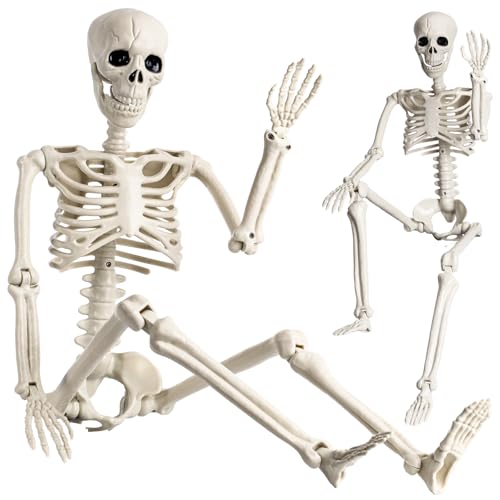 Halloween Skelett, 90cm 2 Stück Realistisches Ganzkörper Skelett mit beweglichen Gelenken für Party Requisiten Gruseliger Friedhof Geisterhaus Rasen Garten Dekoration Halloween Skelett, 90cm 2 Stück Realistisches Ganzkörper Skelett mit beweglichen Gelenken für Party Requisiten Gruseliger Friedhof Geisterhaus Rasen Garten Dekoration von LEVVUE
