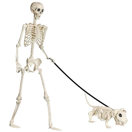 Halloween Skelett mit Hund , 165CM Skelett Lebensgroß Realistisches Ganzkörper Skelett mit beweglichen Gelenken für Party Requisiten Gruseliger Friedhof Geisterhaus Rasen Garten Dekoration Halloween Skelett mit Hund , 165CM Skelett Lebensgroß Realistisches Ganzkörper Skelett mit beweglichen Gelenken für Party Requisiten Gruseliger Friedhof Geisterhaus Rasen Garten Dekoration von LEVVUE