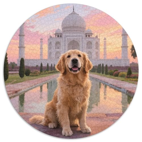 Goldener Retriever Puzzle 1000 Teile Schwer Puzzle Spielzeug Lernspiel Impossible Haustier Herausforderungsspielzeug Für Erwachsene Und Kinder Ab 12 Jahren 1000pcs (67.5x67.5cm) von LFVBASOYU
