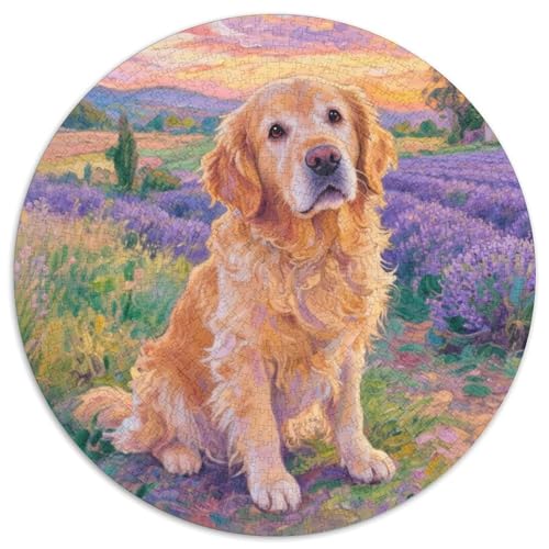 Goldener Retriever Puzzle 1000 Teile Schwer Puzzle Spielzeug Pädagogisches Spiel Impossible Haustier Herausforderungsspielzeug Für Erwachsene Und Kinder Ab 12 Jahren 1000pcs (67.5x67.5cm) von LFVBASOYU