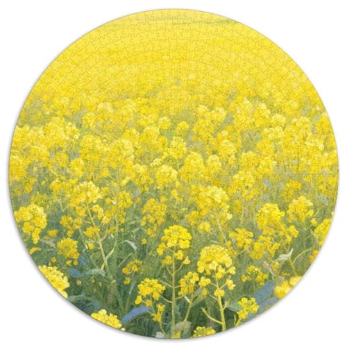 Helle Blumen Puzzles 1000 Teile Schwer Puzzle Spielzeug Lernspiel Impossible Blumen und Pflanzen Herausforderungsspielzeug Für Erwachsene Und Kinder Ab 12 Jahren 1000pcs (67.5x67.5cm) von LFVBASOYU