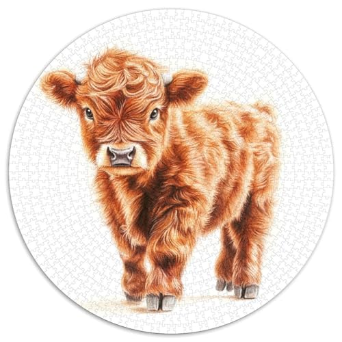Highland Katzetle Puzzle 1000 Teile Schwer Puzzle Spielzeug Pädagogisches Spiel Impossible Herausforderung Spielzeug Für Erwachsene Und Kinder in Bewährter 1000pcs (67.5x67.5cm) von LFVBASOYU