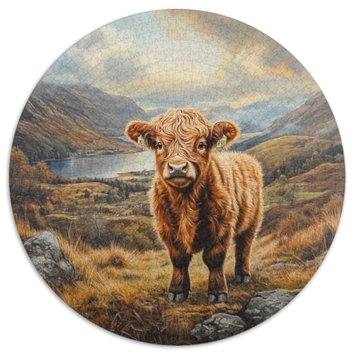 Highland Katzetle Puzzle 1000-teilige Schwer Puzzle Spielzeug Pädagogisches Spiel Impossible Herausforderungsspielzeug Für Erwachsene Kinder 1000pcs (67.5x67.5cm) von LFVBASOYU