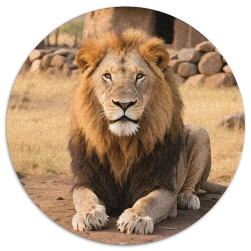 Löwen Puzzle 1000-teilige Schwer Puzzle Spielzeug Pädagogisches Spiel Impossible Tiere Herausforderung Spielzeug Für Erwachsene Kinder 1000pcs (67.5x67.5cm) von LFVBASOYU