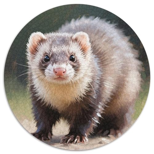 Raccoon Puzzle 1000-teilige Schwer Puzzle Spielzeug Lernspiel Impossible Tiere Herausforderungsspielzeug Für Erwachsene Und Kinder Ab 14 Jahren 1000pcs (67.5x67.5cm) von LFVBASOYU