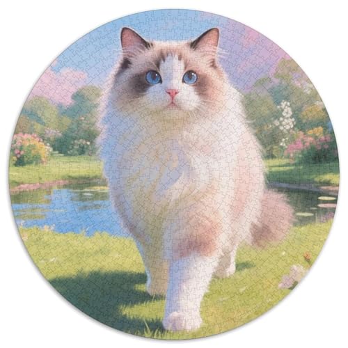 Ragdoll Puzzle 1000 Teile Schwer Puzzle Spielzeug Pädagogisches Spiel Impossible Haustier Herausforderungsspielzeug Für Erwachsene Und Kinder in Bewährter 1000pcs (67.5x67.5cm) von LFVBASOYU